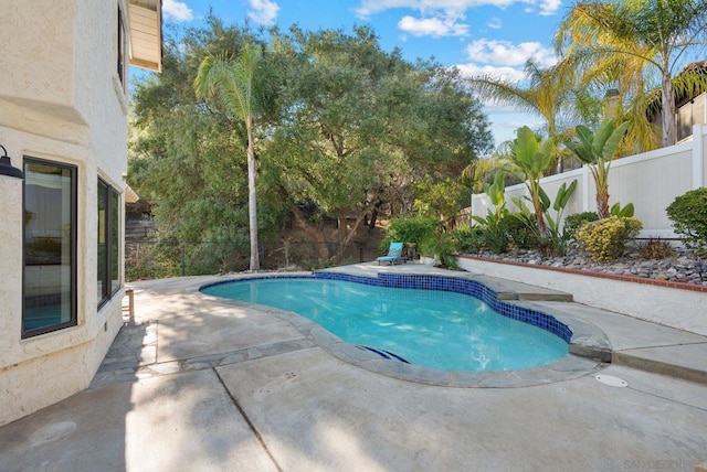 view of pool with a patio