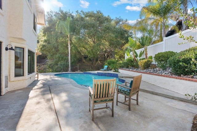 view of swimming pool with a patio area