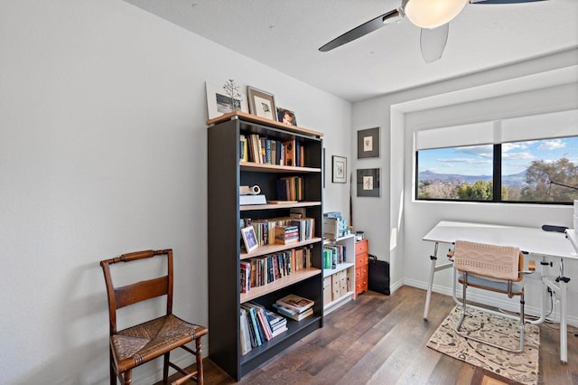 home office with ceiling fan and dark hardwood / wood-style floors