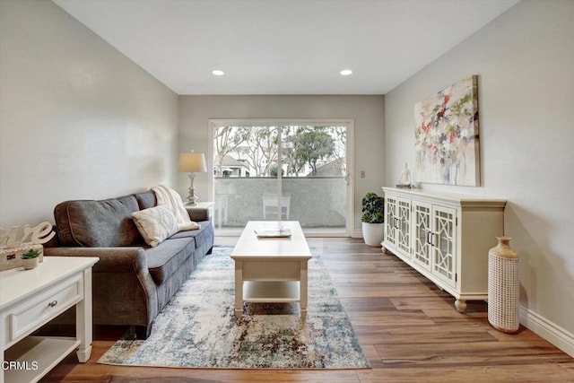 living room featuring hardwood / wood-style flooring