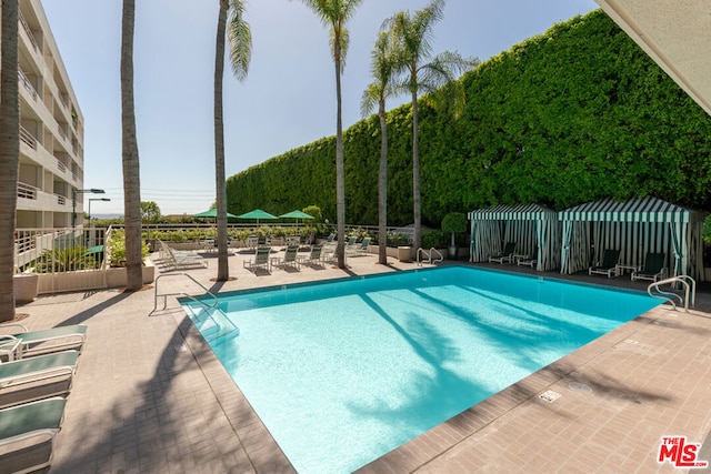 view of swimming pool featuring a patio