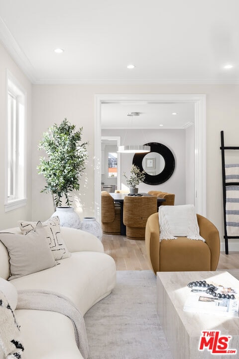 living room with crown molding, light hardwood / wood-style flooring, and a healthy amount of sunlight