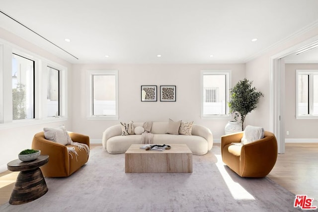 living room with crown molding and light wood-type flooring