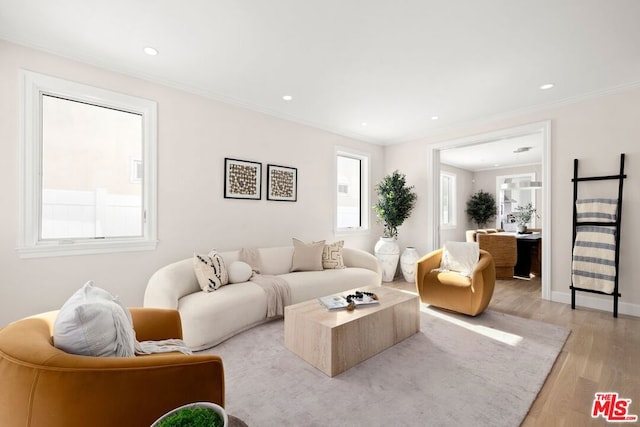 living room with ornamental molding and light wood-type flooring