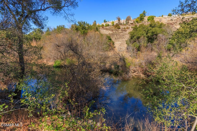 view of nature with a water view