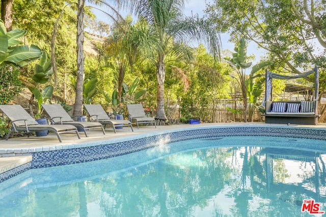 view of swimming pool