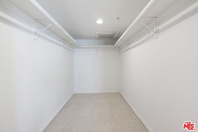 spacious closet featuring carpet