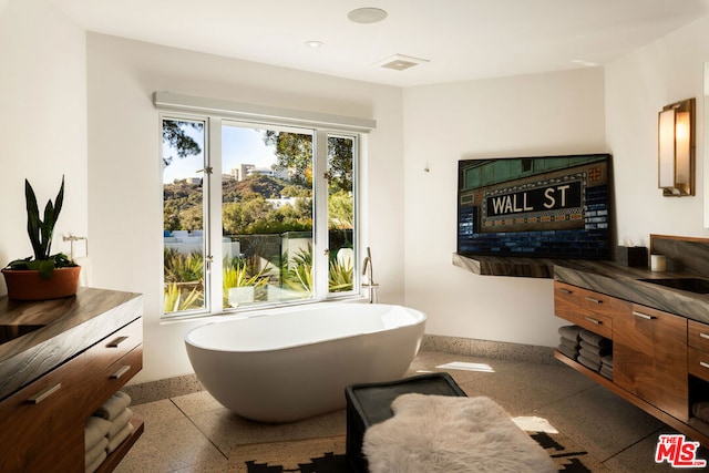 bathroom with vanity and a bathing tub