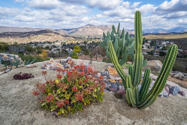 view of mountain feature