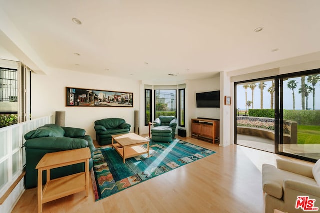 living room featuring light wood-type flooring