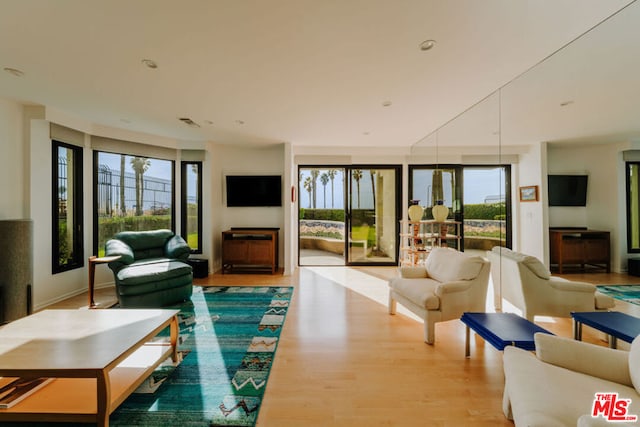 living room with plenty of natural light and light wood-type flooring