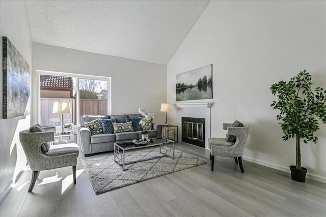 living room with wood-type flooring and high vaulted ceiling