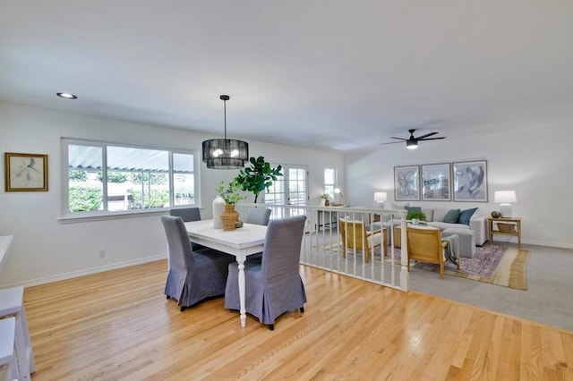 dining room featuring ceiling fan with notable chandelier and light hardwood / wood-style flooring