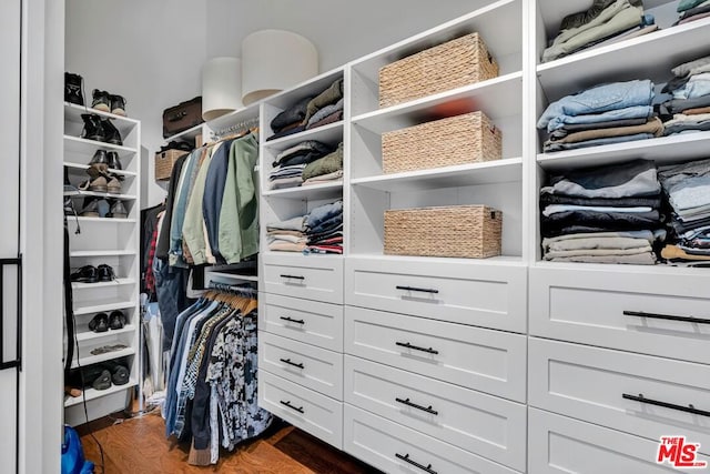 walk in closet featuring dark hardwood / wood-style flooring