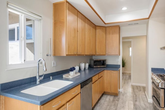 kitchen featuring stainless steel appliances, sink, light hardwood / wood-style floors, and a tray ceiling