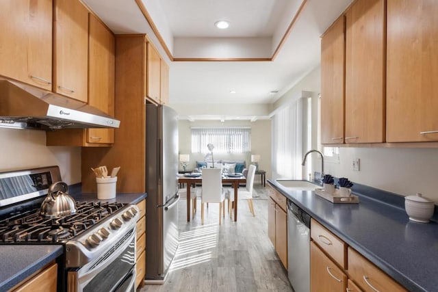 kitchen featuring appliances with stainless steel finishes, sink, and light hardwood / wood-style floors