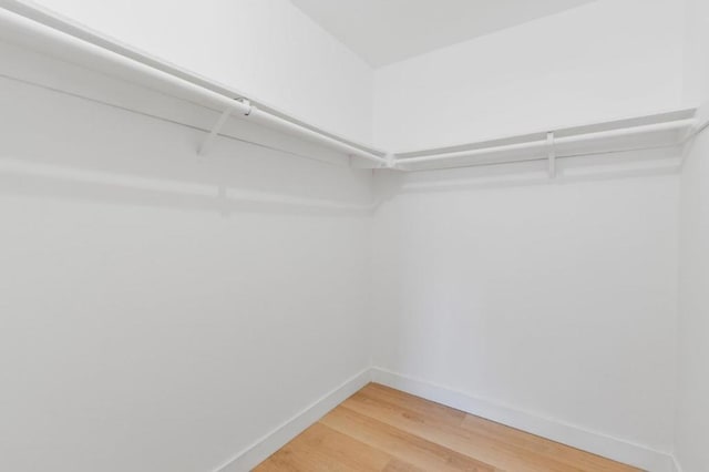 spacious closet with hardwood / wood-style flooring