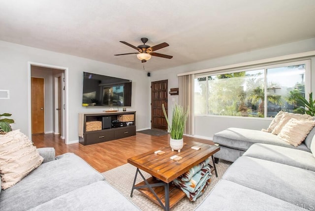 living room featuring hardwood / wood-style floors and ceiling fan