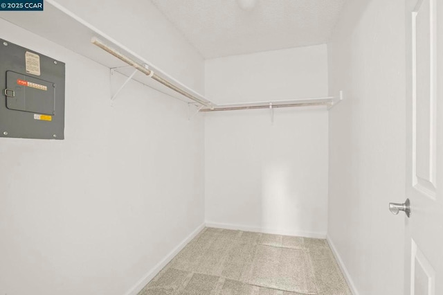 spacious closet featuring electric panel and carpet