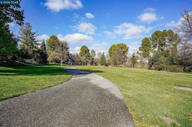 view of home's community featuring a lawn