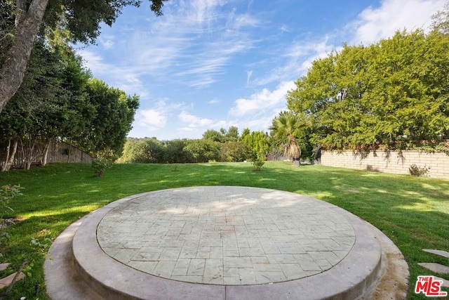 view of yard featuring a patio area