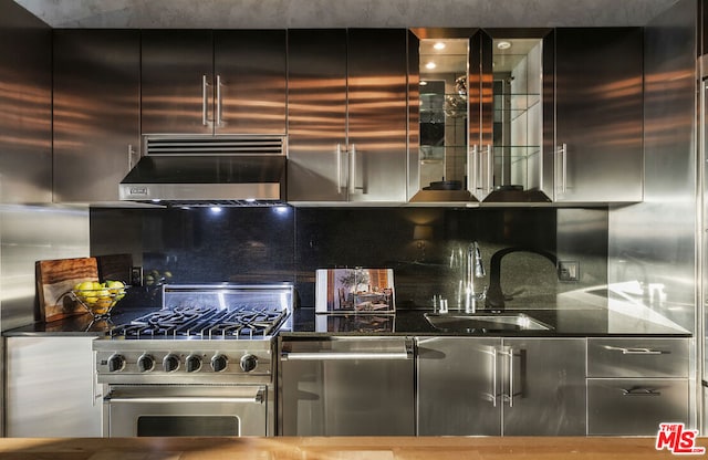 kitchen with sink, backsplash, ventilation hood, and high end stove