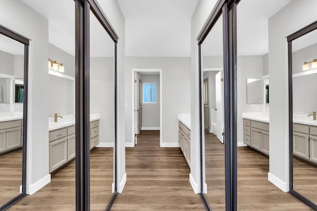 bathroom with vanity and wood-type flooring