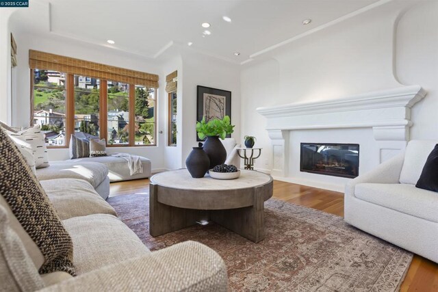 living room featuring wood-type flooring