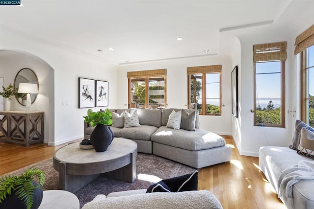 living room featuring light wood-type flooring