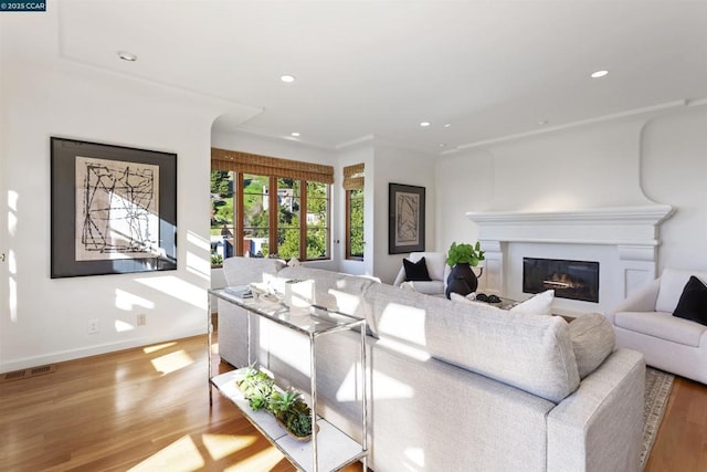 living room with light hardwood / wood-style floors