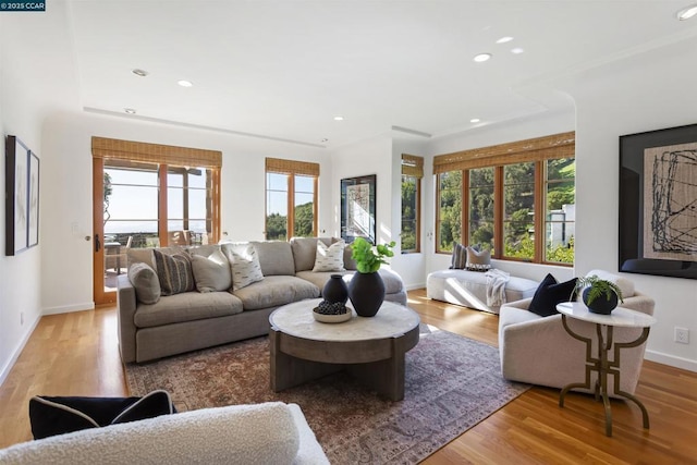 living room with light wood-type flooring