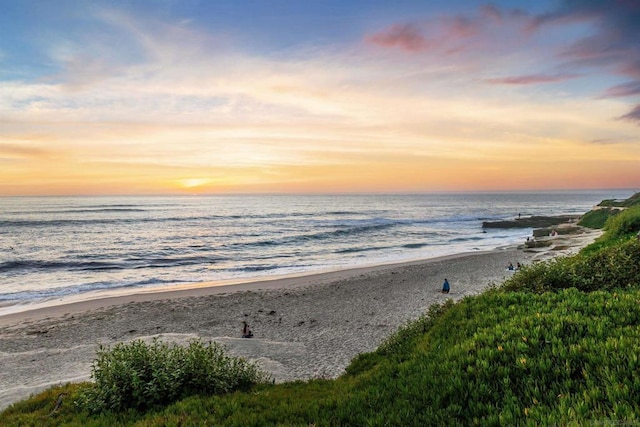 property view of water featuring a beach view