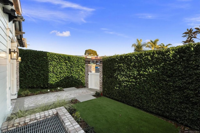 view of yard with a patio