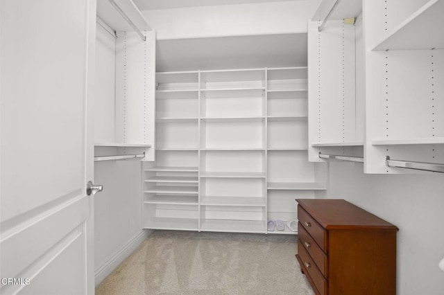 spacious closet with light carpet