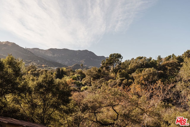 property view of mountains