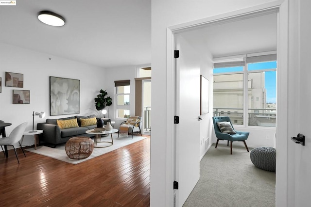 living room featuring wood-type flooring