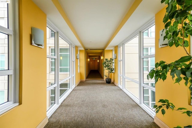 corridor with carpet