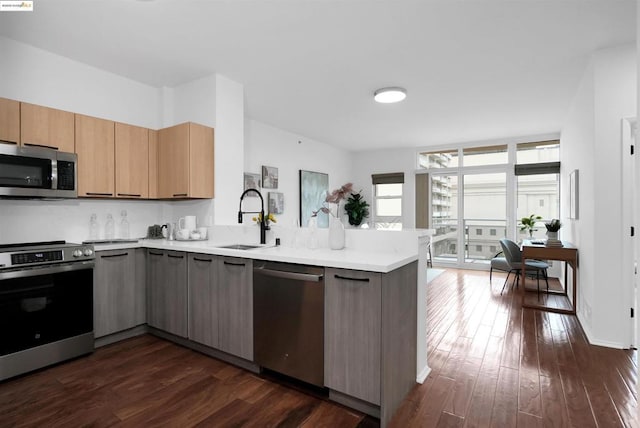 kitchen with appliances with stainless steel finishes, dark hardwood / wood-style floors, kitchen peninsula, and sink