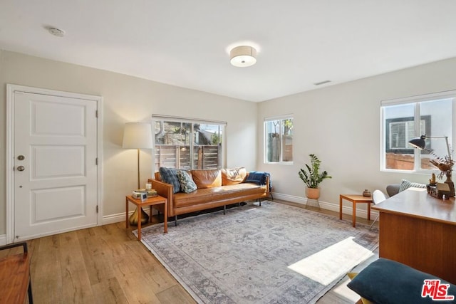 living room with light hardwood / wood-style floors