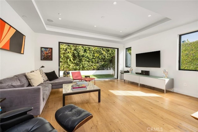 living room featuring a raised ceiling and light hardwood / wood-style flooring