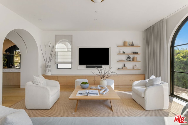 living room featuring light hardwood / wood-style flooring