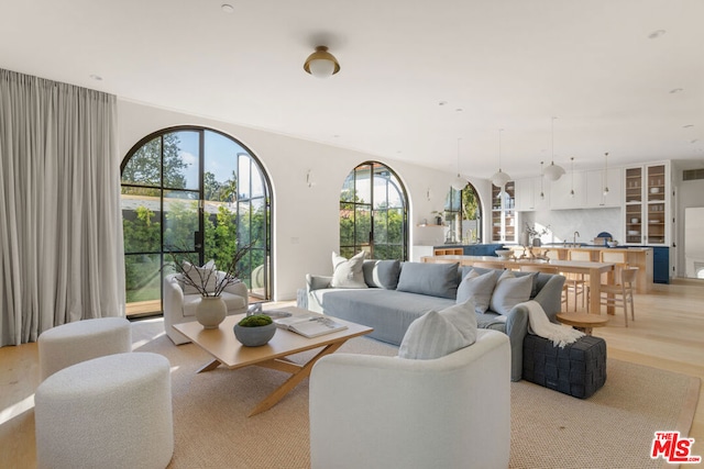 living room featuring light hardwood / wood-style floors