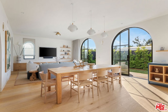 dining area featuring plenty of natural light and light hardwood / wood-style floors