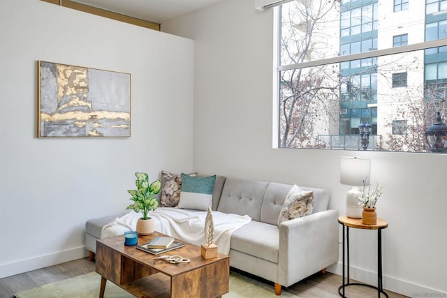 living room with light hardwood / wood-style flooring