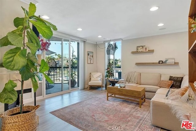 living room with expansive windows, light hardwood / wood-style flooring, and a wealth of natural light