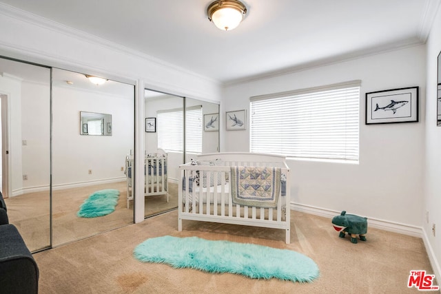 bedroom featuring ornamental molding, carpet, and two closets