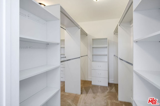 spacious closet featuring light colored carpet