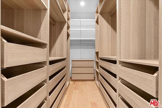 walk in closet featuring light wood-type flooring