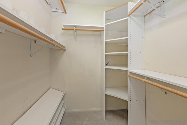 spacious closet with carpet