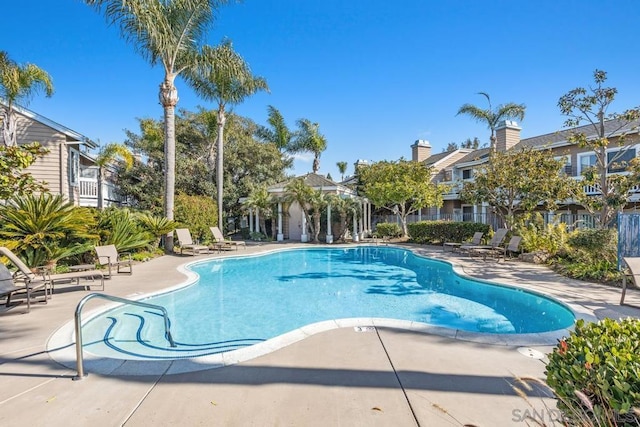 view of pool featuring a patio